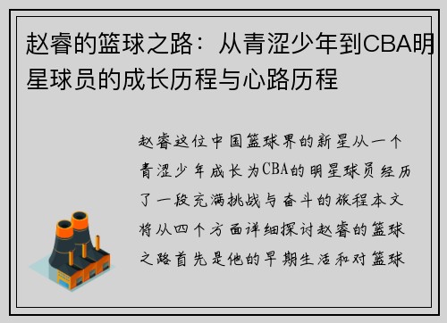 赵睿的篮球之路：从青涩少年到CBA明星球员的成长历程与心路历程