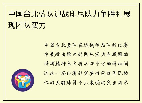 中国台北蓝队迎战印尼队力争胜利展现团队实力