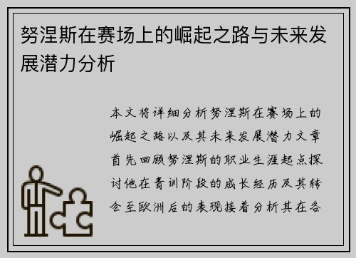 努涅斯在赛场上的崛起之路与未来发展潜力分析